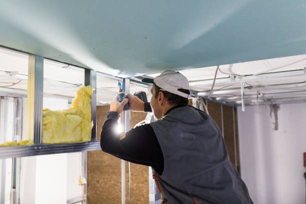 Best Insulation Maintenance and Repair in Madrid, IA